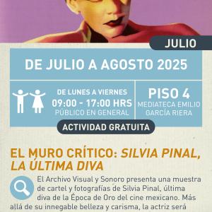 Cartel informativo mostrando a una persona que parece ser Silvia, pintada a colores varios