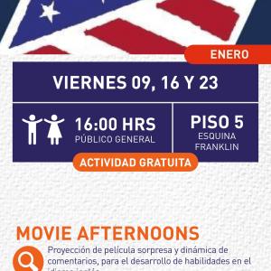 Cartel informativo mostrando mostrando un estampado con la bandera de estados unidos