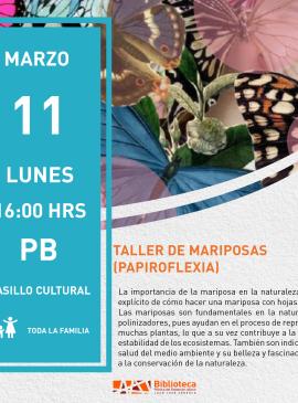 cartel informativo mostrando varias mariposas