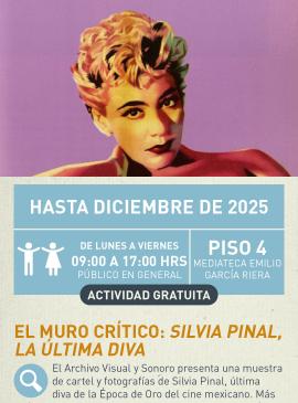 Cartel informativo mostrando a Silvia, con un estilo de pintura colorida