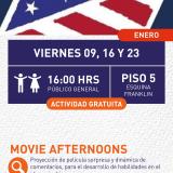 Cartel informativo mostrando mostrando un estampado con la bandera de estados unidos